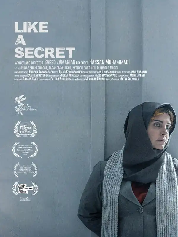 فیلم کوتاه مثل یک راز